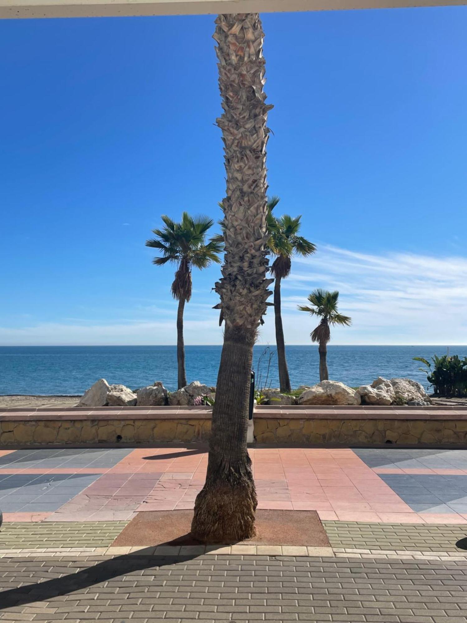 Moderno Piso Mirando Al Mar Διαμέρισμα Τορρεμολίνος Εξωτερικό φωτογραφία
